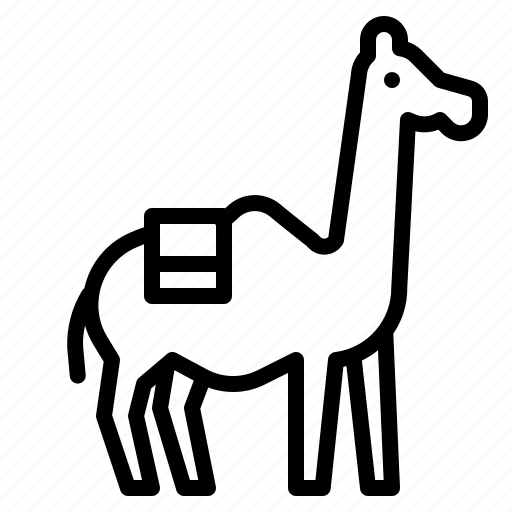 Animal, camel, desert, kingdom, zoo icon - Download on Iconfinder