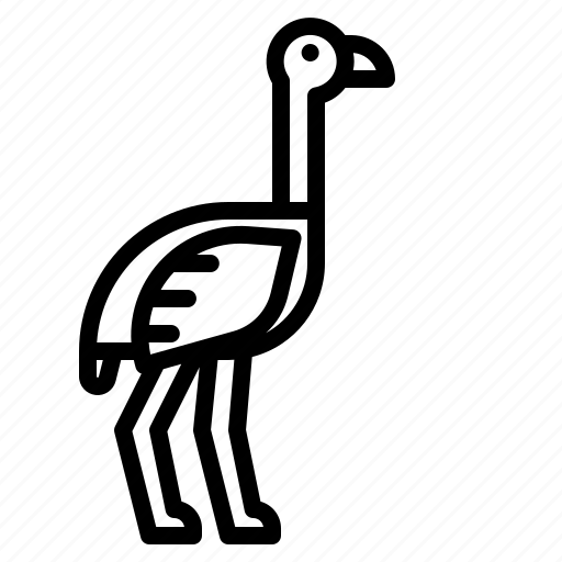 Bird, fast, ostrich, wildlife, zoo icon - Download on Iconfinder