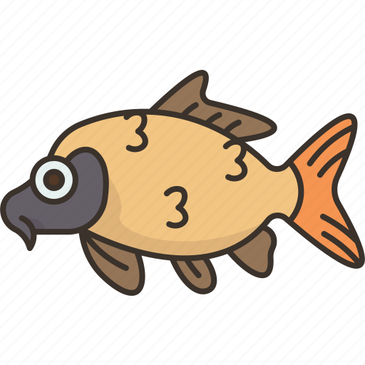 Carp, fish, freshwater, underwater, nature icon - Download on Iconfinder