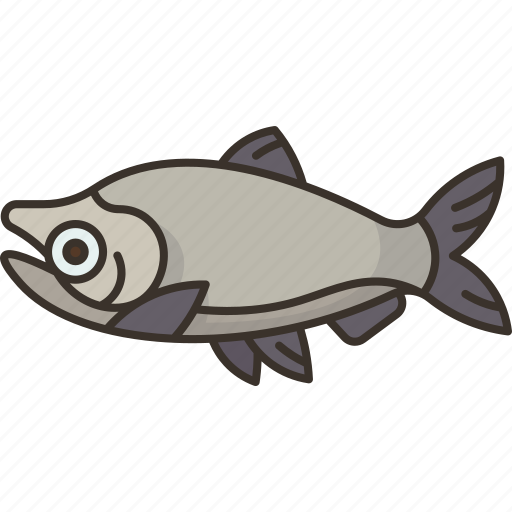 Salmon, fish, trout, seafood, fresh icon - Download on Iconfinder