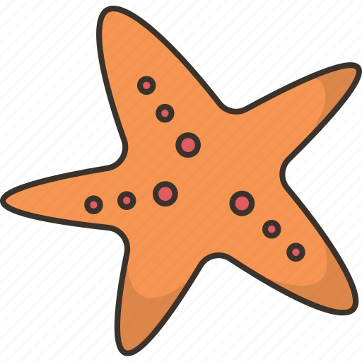 Starfish, mollusk, animal, beach, tropical icon - Download on Iconfinder