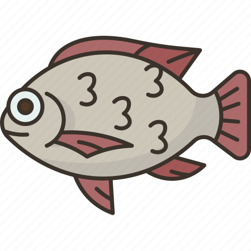Tilapia, fish, freshwater, fishing, food icon - Download on Iconfinder