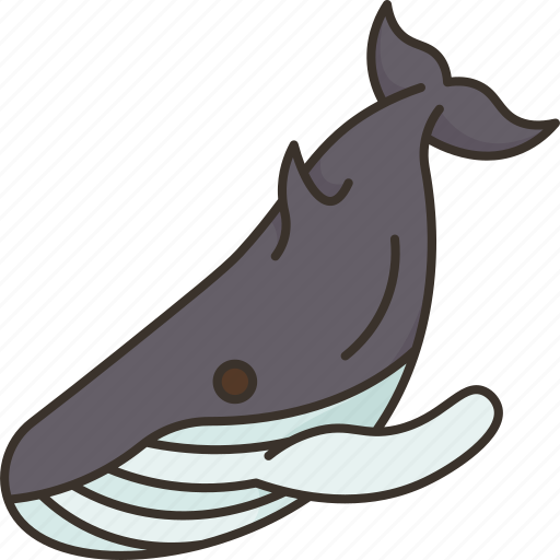 Whale, humpback, mammal, wildlife, ocean icon - Download on Iconfinder