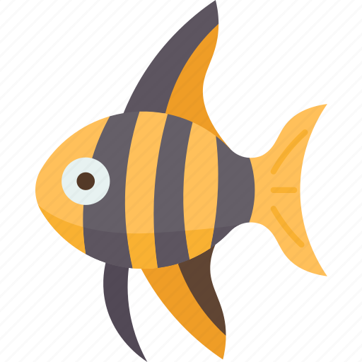 Angelfish, fish, animal, reef, aquarium icon - Download on Iconfinder