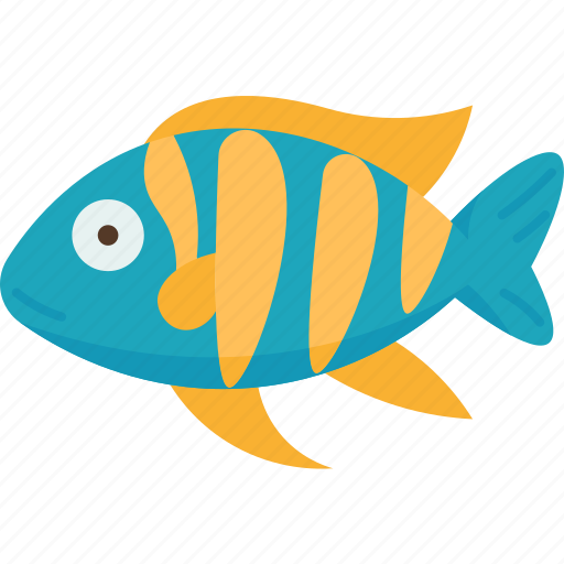 Cichlid, fish, pet, aquarium, ornamental icon - Download on Iconfinder