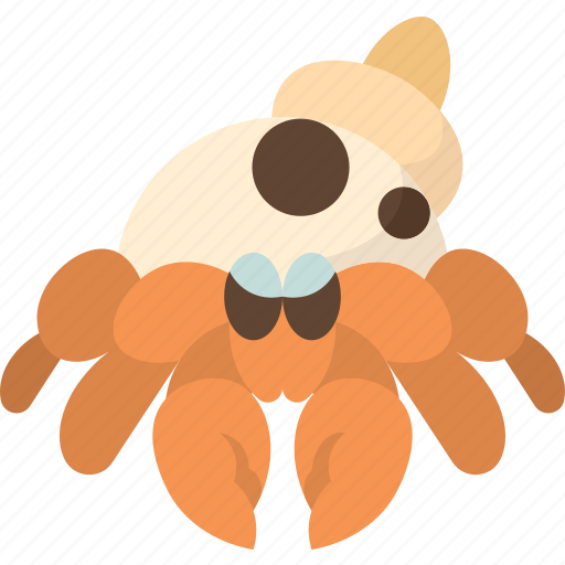Crab, hermit, mollusk, beach, sea icon - Download on Iconfinder