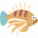 lionfish, fish, reef, sea, tropical