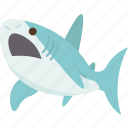 shark, fins, ocean, underwater, danger
