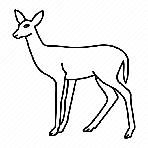 Deer, doe, springbok, zoo, christmas icon - Download on Iconfinder