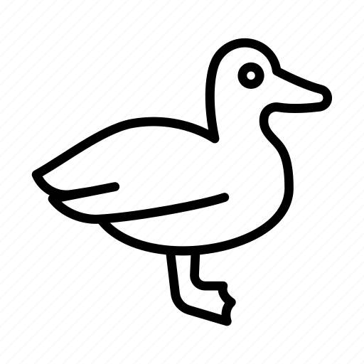 Duck, swim, bird, animal, wild icon - Download on Iconfinder