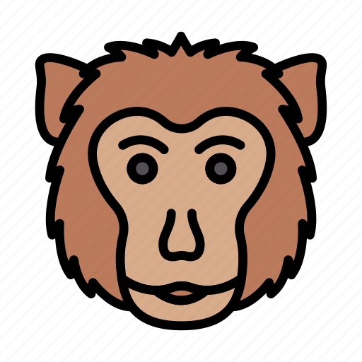 Gorilla, monkey, chimpanzee, wild, animal icon - Download on Iconfinder