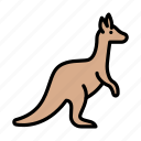 kangaroo, animal, wild, zoo, mammal