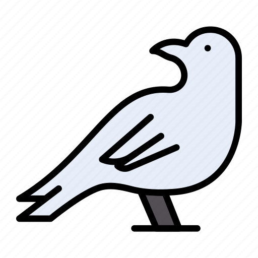Sparrow, dove, bird, zoo, fly icon - Download on Iconfinder