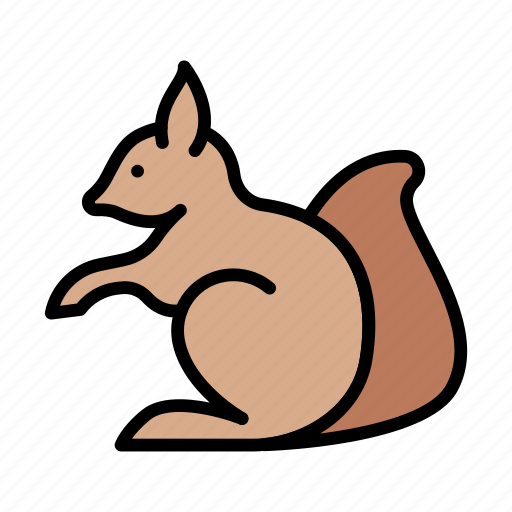 Squirrel, animal, forest, zoo, rodent icon - Download on Iconfinder