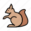 squirrel, animal, forest, zoo, rodent 