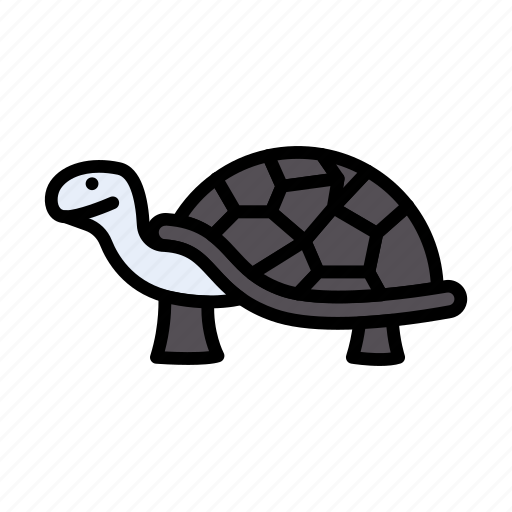 Turtle, creepy, animal, wild, slow icon - Download on Iconfinder