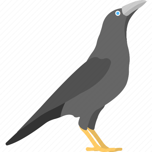 Bird, black bird, crow, standing crow, stationary crow icon - Download on Iconfinder