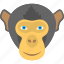 animal face, black monkey, face of a monkey, monkey face, smiling monkey 