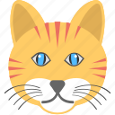animal, cat face, long whiskers, smiling cat, yellow cat 