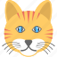 animal, cat face, long whiskers, smiling cat, yellow cat 
