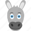 baby donkey, domestic animal, donkey face, foal face, smiling donkey 