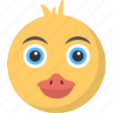 animal face, baby duck, duckling face, round face, yellow duckling 