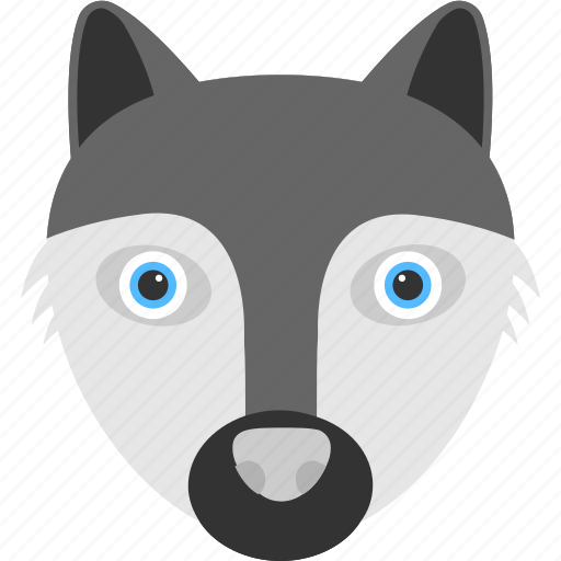 Animal, animal face, bearded racoon, black racoon, racoon face icon - Download on Iconfinder