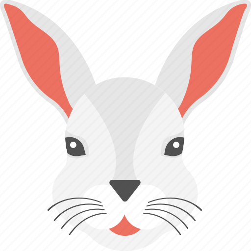 Cute animal, long ears, rabbit face, white fur, white rabbit icon - Download on Iconfinder