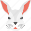 cute animal, long ears, rabbit face, white fur, white rabbit 