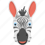 animal face, black white stripes, long ears, mammals, zebra face 