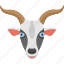 goat face, long horns, mountain goat, white goat, wild animal 