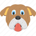 brown dog, bulldog, bulldog face, domestic animal, pet animal 