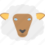 animal, domestic animal, sheep face, sheep wool, white sheep 