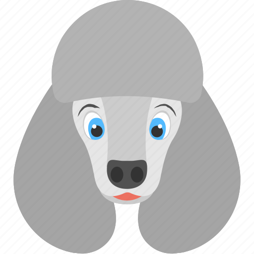 Dog face, domestic animal, grey poodle, pet animal, poodle face icon - Download on Iconfinder