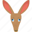 animated kangaroo, brown kangaroo, kangaroo face, long face, wild animal 