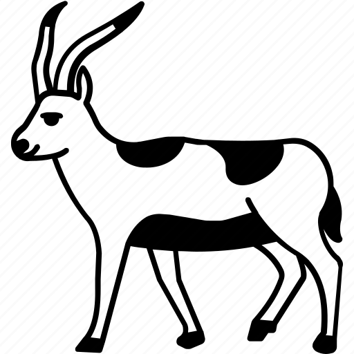 Antelope, blackbuck, cervicapra, creature, antelope icon icon - Download on Iconfinder