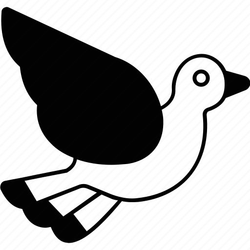 Crow, bird, squab, dove, columbidae icon - Download on Iconfinder