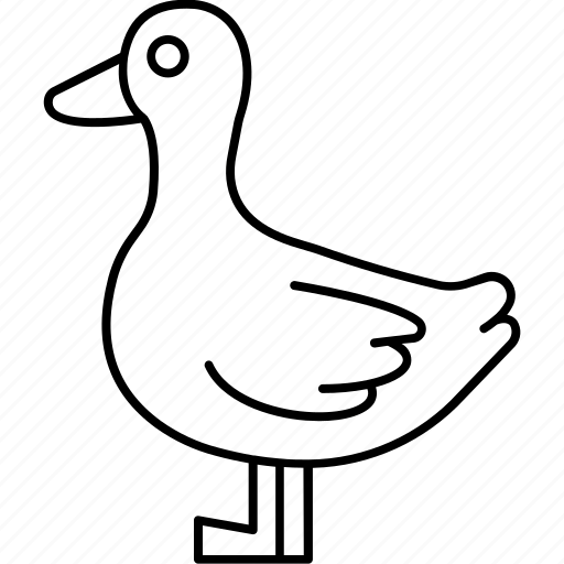 Anas crecca, duck, bird, creature, specie icon - Download on Iconfinder