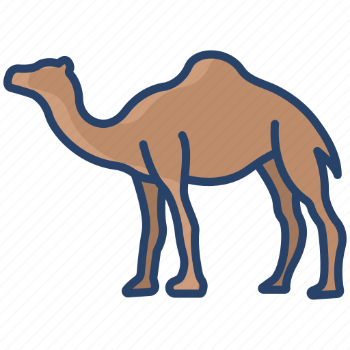 Camel icon - Download on Iconfinder on Iconfinder