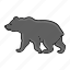 animal, bear, bearzoo, grizzly, wildlife 