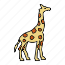 africa, animal, giraffe, zoo