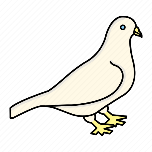 Bird, dove, fly, pigeon icon - Download on Iconfinder