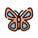 beautiful, butterfly, flower, fly, insect, nature, wings