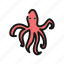 octopus 