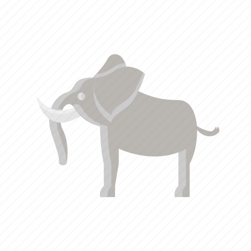 Animal, elephant, ivory, mammal, wild, zoo icon - Download on Iconfinder