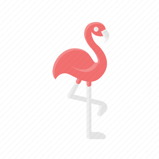 Animal, beach, bird, flamengo, ocean, pink, sea icon - Download on Iconfinder
