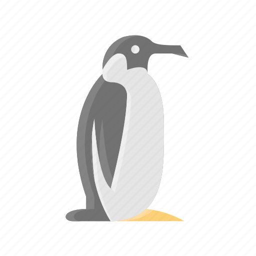 Animal, bird, cold, cute, north pole, penguin, wild icon - Download on Iconfinder