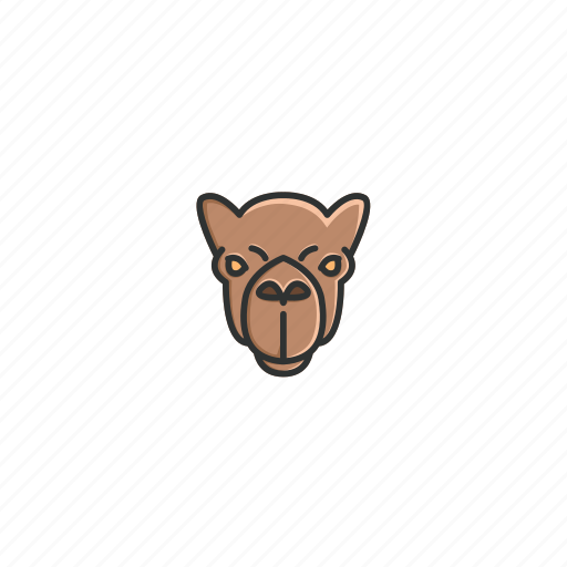 Animal, camel, character, desert, face, funny, head icon - Download on Iconfinder