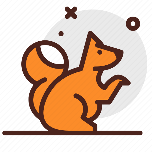 Squirrel, animal, wildlife icon - Download on Iconfinder