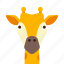 face, giraffe 